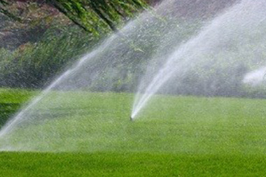 Sammamish Sprinkler Repair