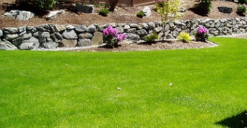 Snoqualmie Lawn Care Tips