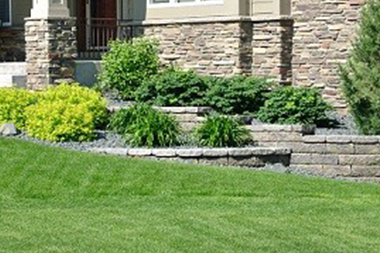 Snoqualmie Summer Lawn Care