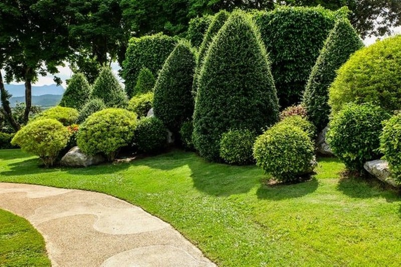 Southcenter Edible Landscape Design