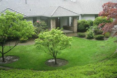 Tukwila Commercial Landscape Maintenance